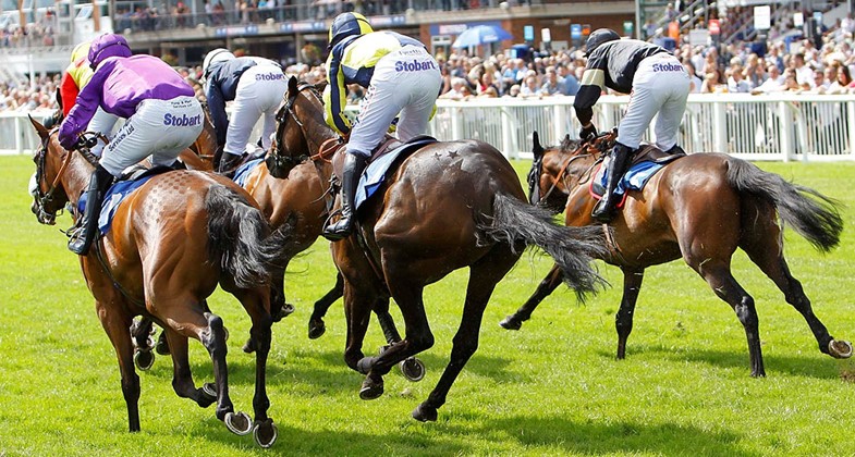 Image for AMADEUS WINS STRATFORD RACECOURSE CONTRACT case study